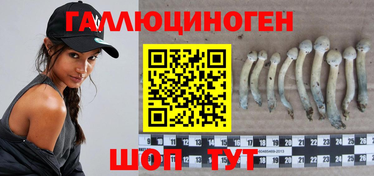 Галлюциногенные грибы GOLDEN TEACHER Дивногорск
