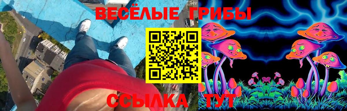Дивногорск  Псилоцибиновые грибы GOLDEN TEACHER  Вход с VPN 
